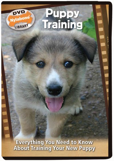 Puppy training [videorecording] : everything you need to know about training your new puppy.