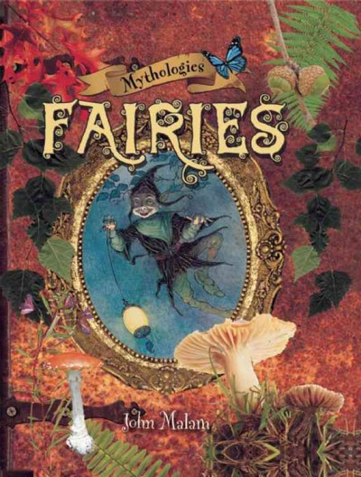 Fairies / John Malam.