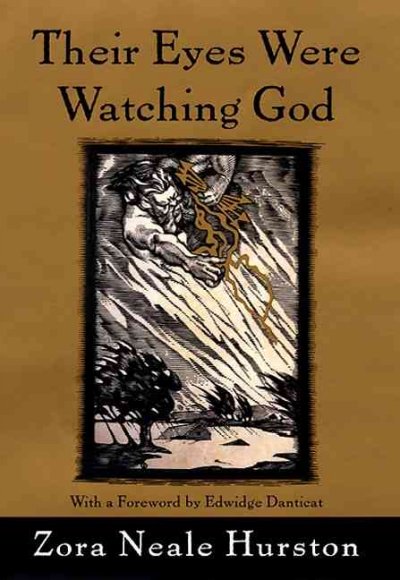 Their eyes were watching God : a novel / Zora Neale Hurston ; with a new foreword by Mary Helen Washington.