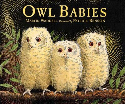 Owl babies [kit] / by Martin Waddell ; illustrated by Patrick Benson.