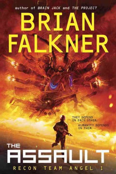 The assault [electronic resource] / Brian Falkner.