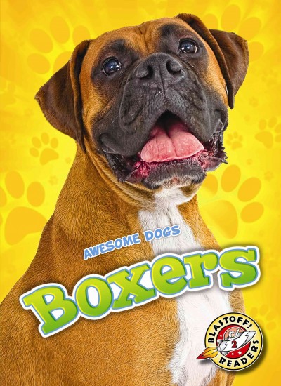 Boxers / by Mari Schuh.