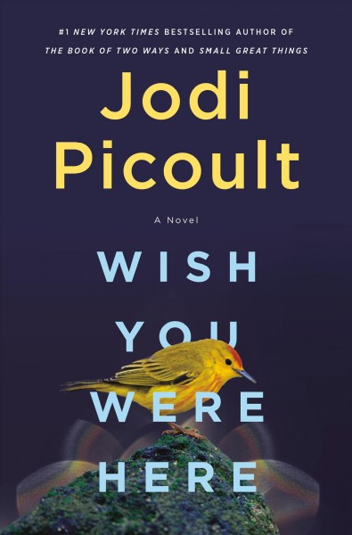 Wish you were here : a novel / Jodi Picoult.