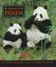 Go to record The legend of the panda