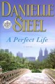 A perfect life : a novel  Cover Image