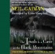 The truth is a cave in the Black Mountains : a tale of travel and darkness with pictures of all kinds  Cover Image