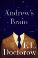 Andrew's brain  Cover Image