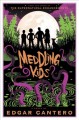 Meddling kids : a novel  Cover Image