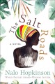 The Salt Roads. Cover Image